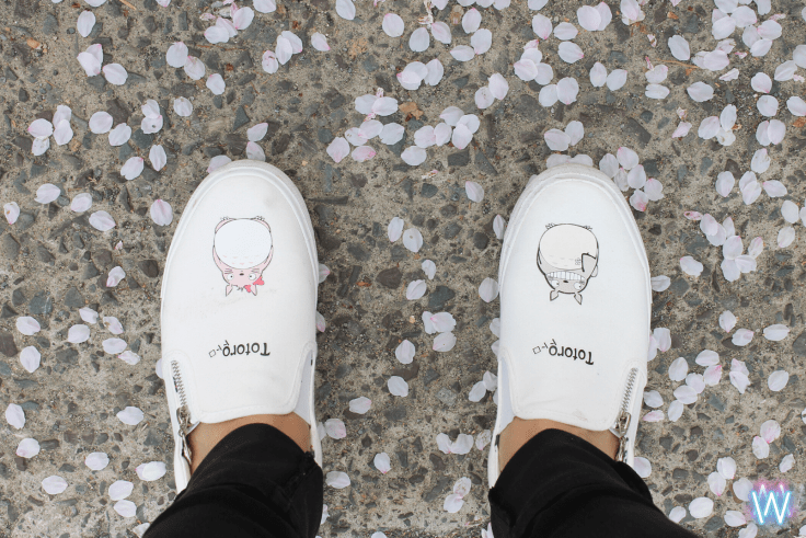 Untitled design (18)