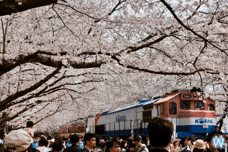 Untitled design (24)